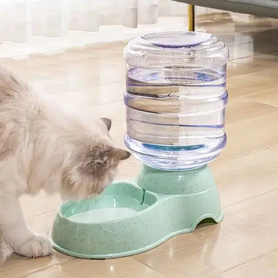 distributeur eau chat automatique siphon gravité vert