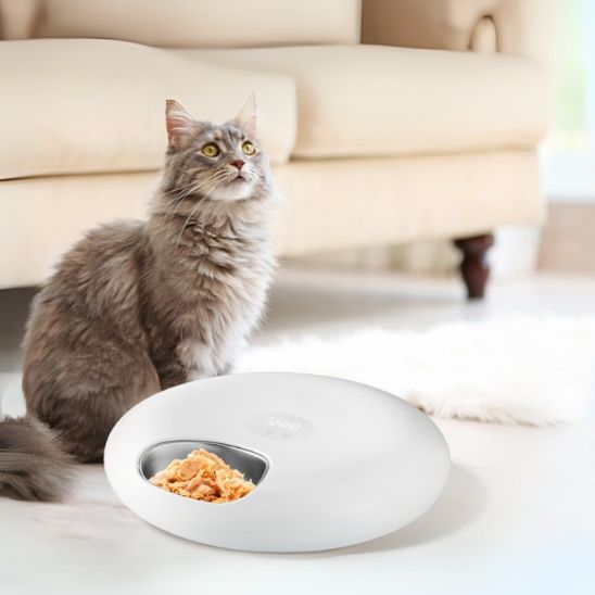distributeur nourriture chat aliments secs et humides