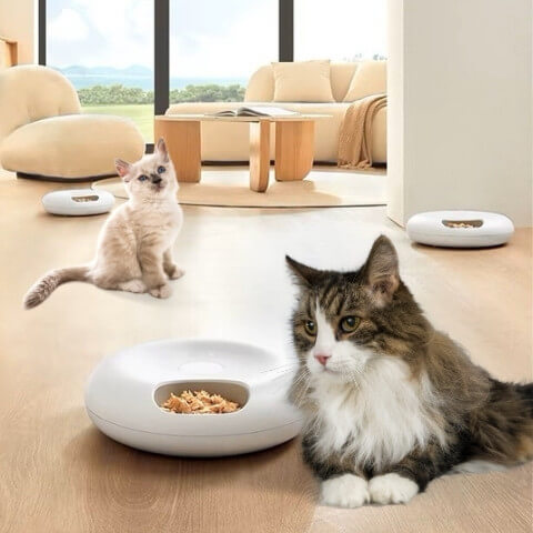distributeur nourriture chat sans fil à l'endroit où votre chat aime manger
