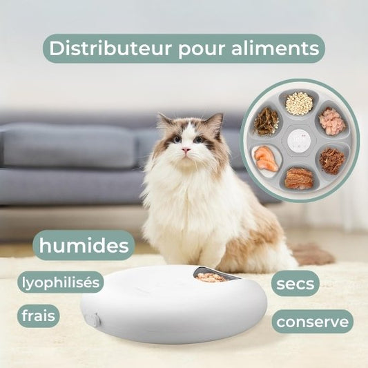 distributeur nourriture chat pour aliments secs et humides