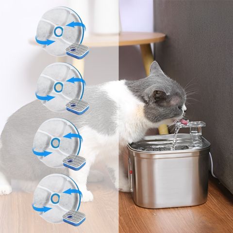 filtre fontaine a eau pour chat inoxo acier inoxydable