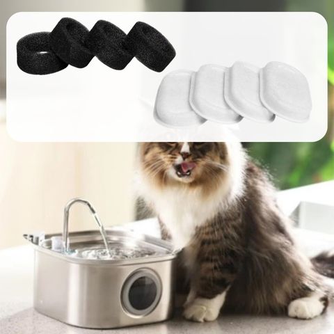 filtre fontaine a eau pour chat inoxpur