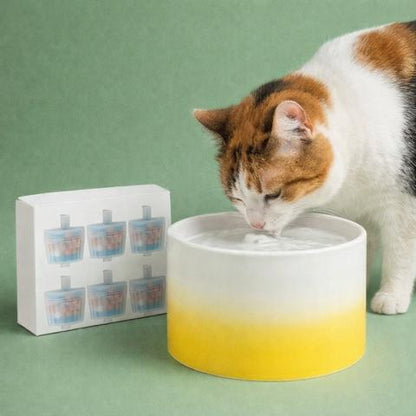 Filtres fontaine a eau chat aqua dégradé silencieuse