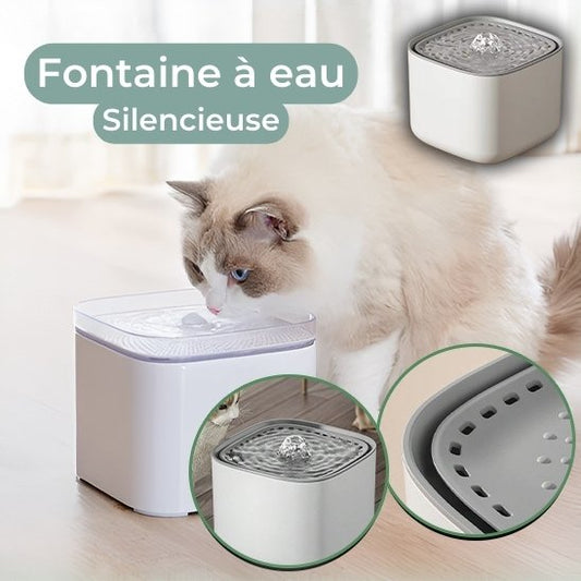 fontaine a eau chat blanc