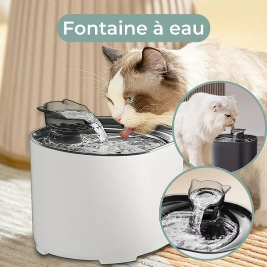 fontaine a eau chat blanc pur