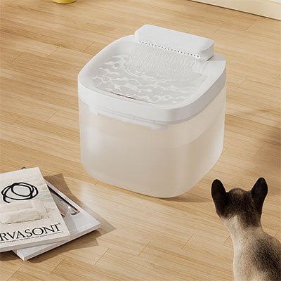 Fontaine a eau chat cascade silencieuse distributeur eau filtre charbon