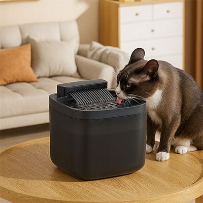 Fontaine a eau chat cascade silencieuse électrique grande capacité