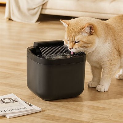 Fontaine a eau chat cascade silencieuse électrique grande capacité