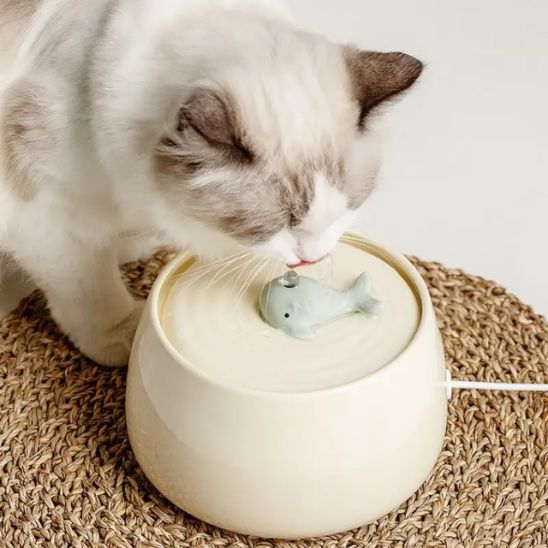 fontaine a eau chat ceramique baleine beige
