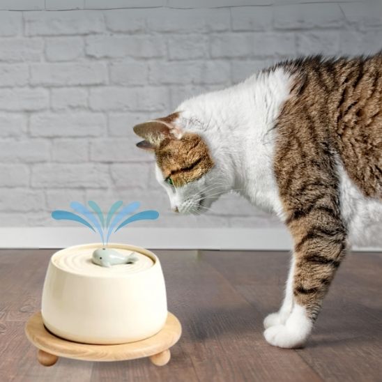 fontaine a eau chat ceramique beige support bois