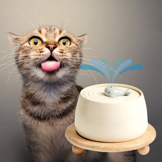 fontaine a eau chat ceramique baleine beige support bois