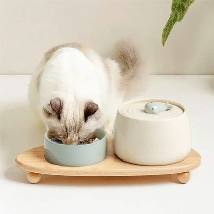 fontaine a eau chat ceramique design baleine ensemble gamelle