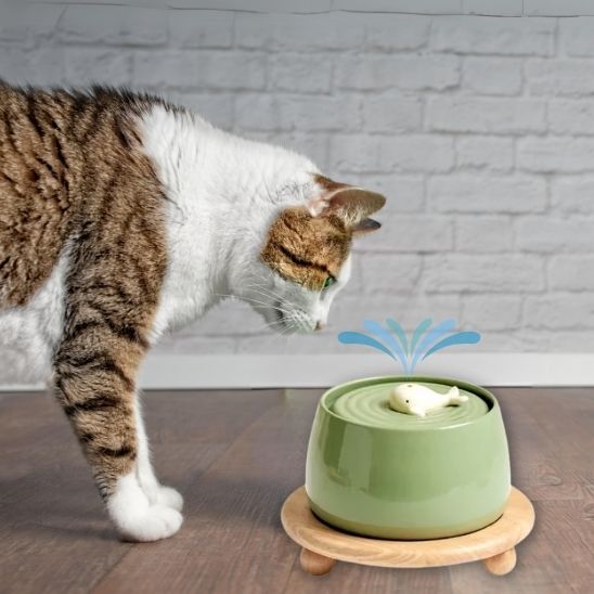fontaine a eau chat ceramique support bois