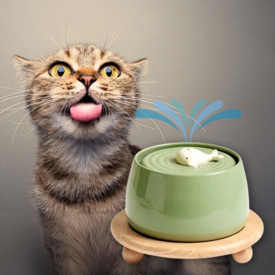 fontaine a eau chat ceramique baleine verte support bois