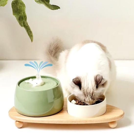 fontaine a eau chat céramique verte design