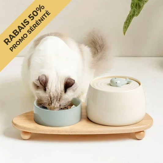 fontaine a eau chat ceramique design baleine ensemble gamelle promo