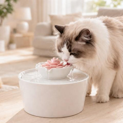fontaine à eau pour chat céramique fleur lotus avec chat qui boit eau courante