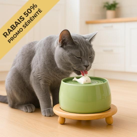 fontaine a eau chat ceramique verte support bois design baleine