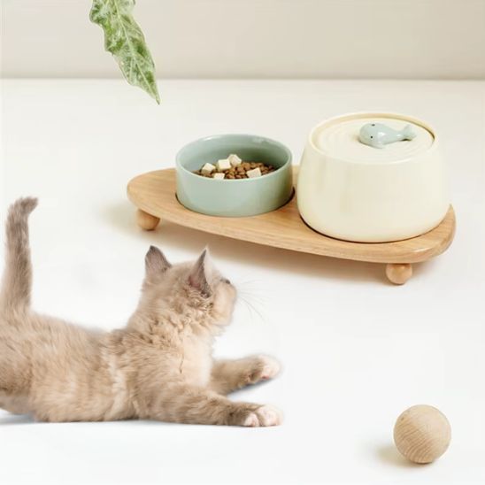 fontaine a eau chat céramique design baleine ensemble gamelle