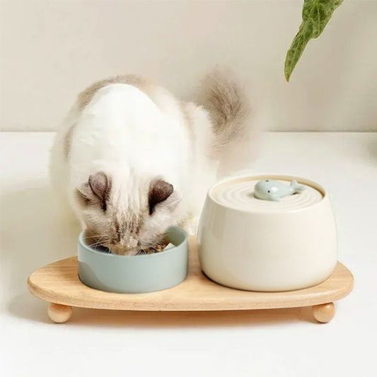 fontaine a eau chat céramique design baleine ensemble gamelle