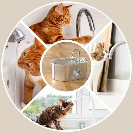fontaine à eau chat inox silencieuse 3.2L