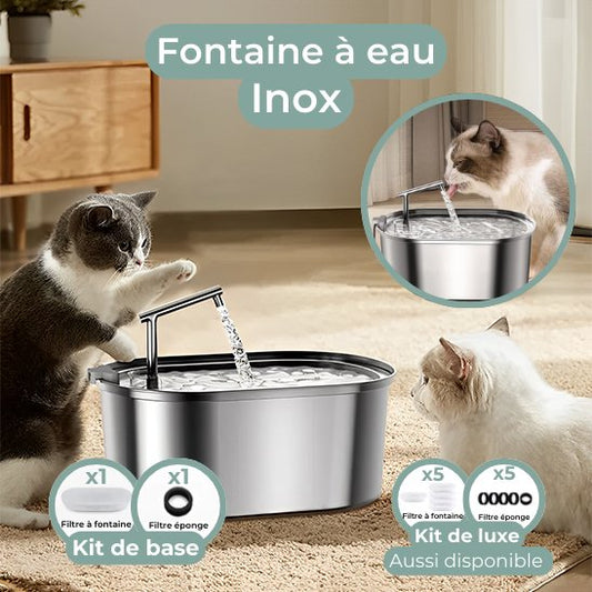 fontaine à eau chat inox base