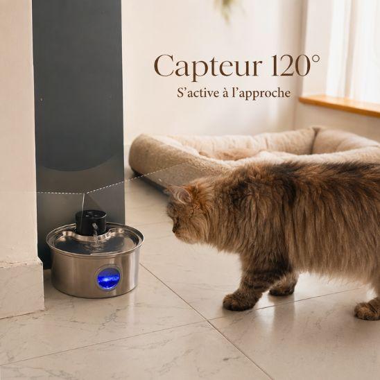 Chat près d’une fontaine à eau inox sans fil équipée d’un capteur à 120 degrés