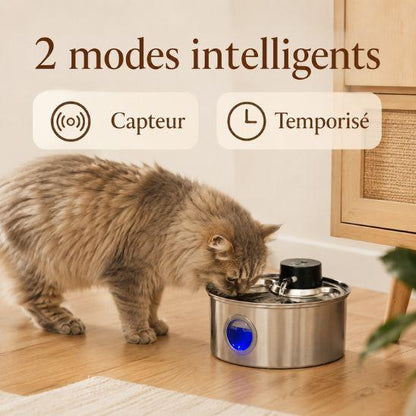 Fontaine à eau chat inox avec deux modes intelligents : capteur et temporisé
