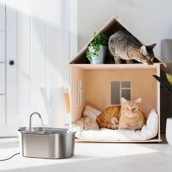 fnotaine à eau chat inox silencieuse 3.2L