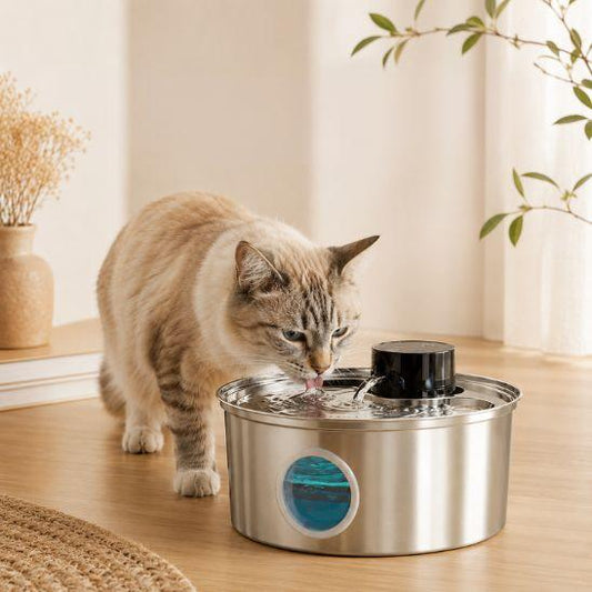 Chat buvant à une fontaine à eau en inox sans fil avec fenêtre de niveau d’eau