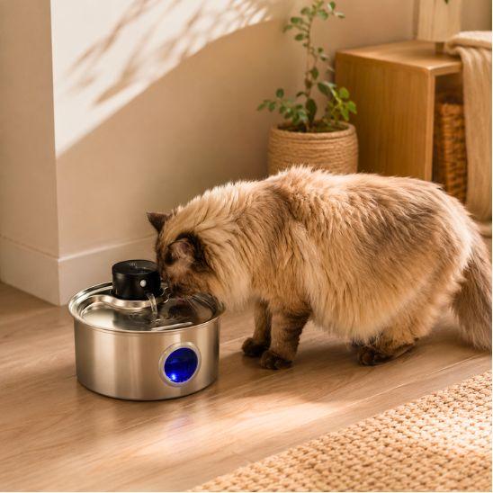 Chat à poils longs buvant à une fontaine à eau en inox sans fil de 3,2 L