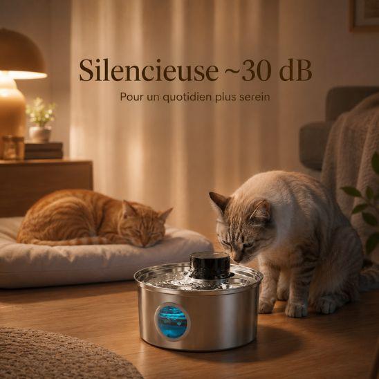 Fontaine à eau chat silencieuse en inox 30 dB avec deux chats calmes