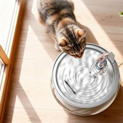 Vue du dessus d’une fontaine à eau chat inox avec chat