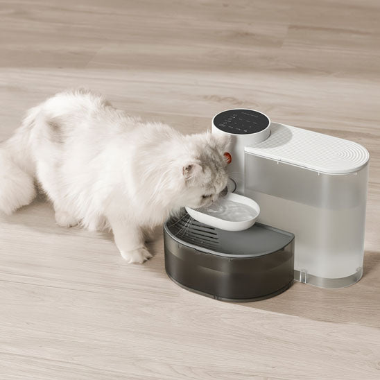 fontaine a eau chat propre auto-nettoyante ergonomique