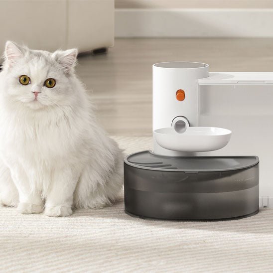 fontaine a eau chat propre auto-nettoyante