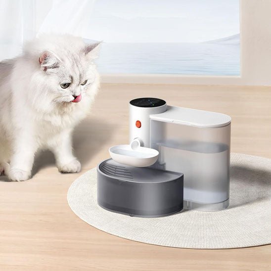 fontaine a eau chat propre auto-nettoyante