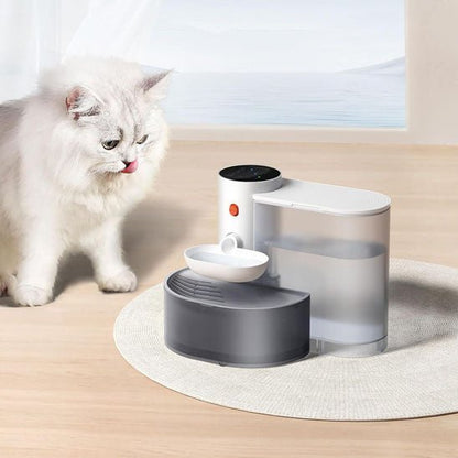 fontaine a eau chat propre auto-nettoyante