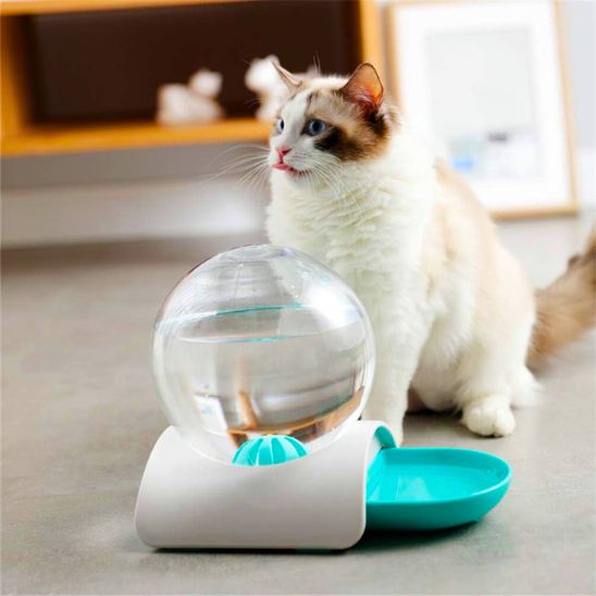 fontaine à eau chat sans électricité bleu
