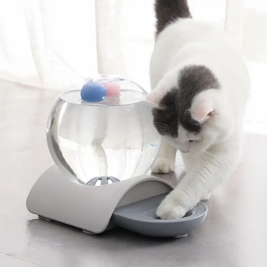 fontaine à eau chat sans électricité bulle plastique gris