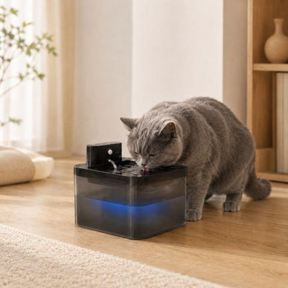 Fontaine à eau chat sans fil avec chat gris
