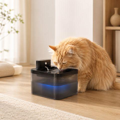 Fontaine à eau chat sans fil avec capteur et chat roux