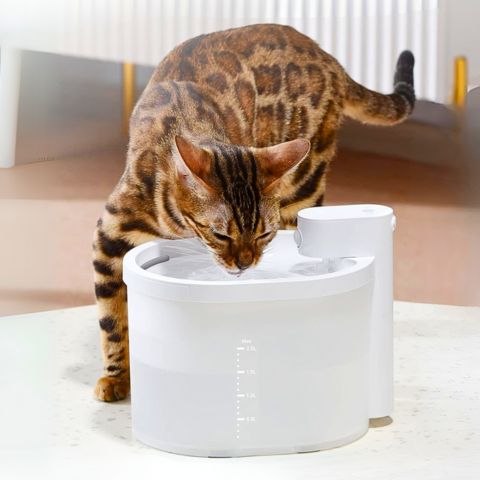 Fontaine à eau chat sans fil blanche avec chat en train de boire