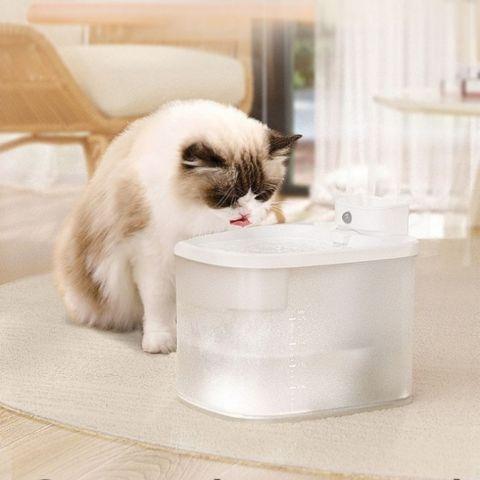 fontaine à eau chat sans fil silencieuse détecteur mouvement plastique