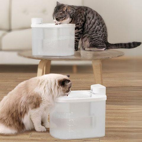 fontaine à eau chat sans fil silencieuse détecteur mouvement plastique