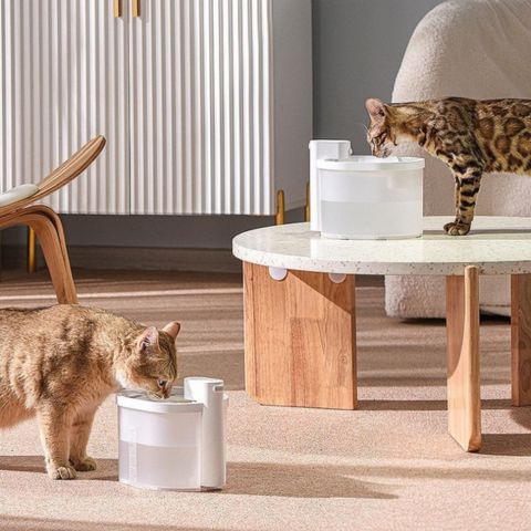 fontaine a eau chat sans fil plastique portable