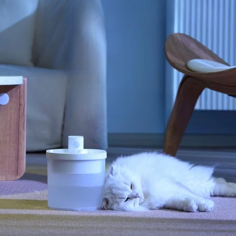 fontaine a eau chat sans fil silencieuse