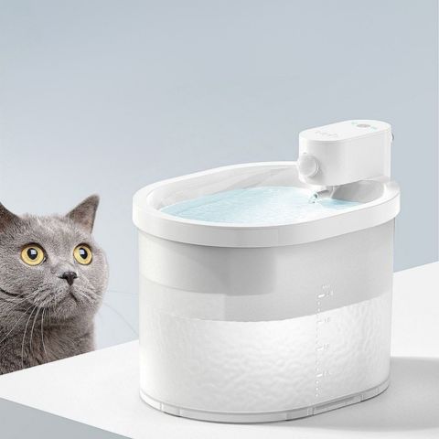 fontaine a eau chat sans fil batterie