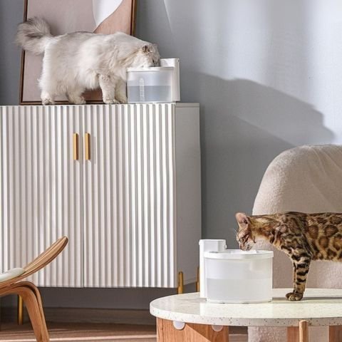 fontaine a eau chat sans fil piles pratique