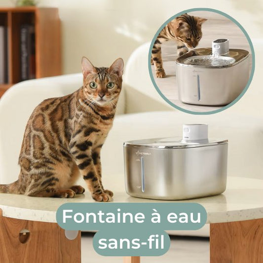 fontaine a eau chat sans fil