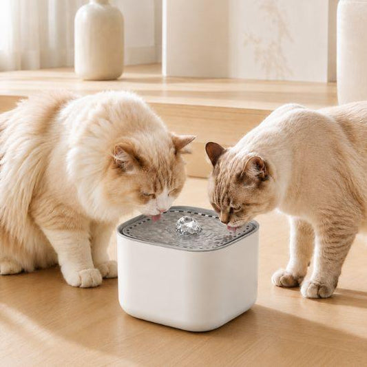 Fontaine a eau chat silencieuse 3 litres verte avec deux chats